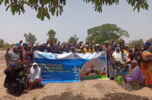 PDI culture hors sol